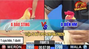 Trận 5 CPC2 28/06/2026 – Gà Cú Anh Bảo Sting Đá Đúng 1 Cây Hiểm