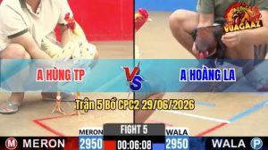 Trận 5 CPC2 29/06/2026 – Gà Bướm Anh Hùng Đá Mấy Chân Lụm Tiền