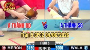 Trận 5 CPC2 Ngày 04/06/2026 Tại Vua Gà AZ