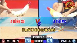Trận 5 CPC3 11/06/2026 - Anh Tẻo Mỏ Cày Hạ Đối Thủ Nằm 1 Đống