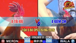 Trận 5 CPC3 15/06/2026 – Idol Kiểm Cà Mau Bị Phản Kèo Ăn 1 Đau Đớn