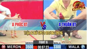 Trận 6 CPC2 02/06/2026 - Gà Điều Anh Thuần Đá Cựa Dính Như Keo