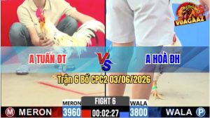 Trận 6 CPC2 03/06/2026 - Gà Anh Hoà ĐH Đá 3 Chân Có Kết Quả
