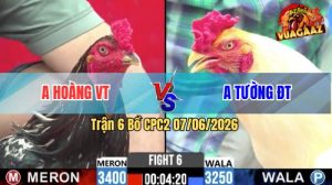 Trận 6 CPC2 07/06/2026 - Gà Bông Anh Hoàng Phản Tang Ăn 1 Quá Hay