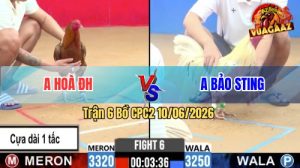 Trận 6 CPC2 10/06/2026 - Idol Bảo Sting Gặp Phải Đối Thủ Cứng Cựa
