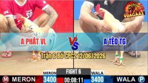 Trận 6 CPC2 12/06/2026 - Gà Bướm Anh Phát Đá Canh Chặn Khéo Léo