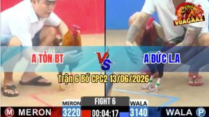 Trận 6 CPC2 13/06/2026 - Gà Anh Tỏn Đá Đâm Cựa Dính Như Keo