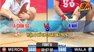Trận 6 CPC2 14/06/2026 - Gà Úa Anh Nhí Thắng Gọn Trong 2 Tay Nước