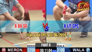 Trận 6 CPC2 15/06/2026 – Gà Bướm Anh Lít Nạp 1 Cựa Hiểm Ngay Cổ