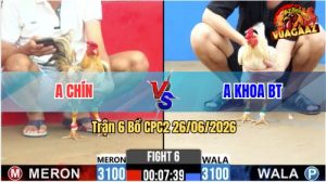 Trận 6 CPC2 26/06/2026 – 2 Con Chiến Kê Đá Đâm Cựa Thấy Nóng Lạnh