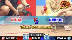 Trận 6 CPC3 01/06/2026 - Gà Bướm Anh Minh Bị Dí Ăn 5 Mà Vẫn Thắng