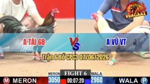 Trận 6 CPC3 07/06/2026 - Gà Úa Anh Vũ Đá Gà Điều Không Đường Ra