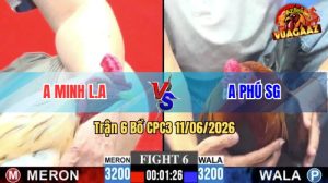 Trận 6 CPC3 11/06/2026 - Gà Bướm Má Minh Đá Cái Bo Quá Lực