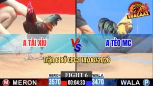 Trận 6 CPC3 14/06/2026 - Anh Tài Xỉu Có Pha Lật Kèo Ở Phút Chót
