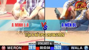 Trận 6 CPC3 20/06/2026 – Gà Úa Má Minh Đá Canh Chặn Khôn Như Người