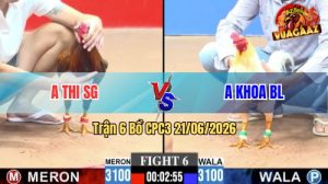 Trận 6 CPC3 21/06/2026 – Gà Úa Anh Khoa BL Gồng Gánh Cứu Chủ