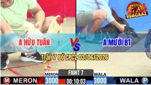 Trận 7 CPC2 03/06/2026 - Hoà Mãn Nhãn Giữa Anh Hữu Tuân Và Anh Mười