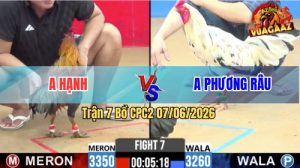 Trận 7 CPC2 07/06/2026 - Gà Bướm Anh Phương Râu Nhấc Chân Là Có Cựa