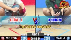 Trận 7 CPC2 08/06/2026 - Gà Anh Tâm Long An Đá Chưa Tới 1 Tay Nước