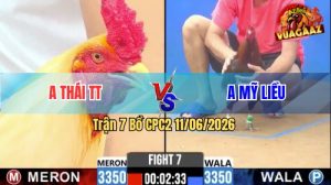Trận 7 CPC2 11/06/2026 - Anh Mỹ Liều Có Pha Lật Kèo Quá Hay