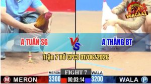 Trận 7 CPC3 01/06/2026 - Gà Úa Anh Thắng Dẻo Dai Hạ Đỏ Từ Từ