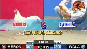 Trận 8 CPC2 01/06/2026 - Gà Anh Vinh Đâm 1 Cây Hiểm, Đỏ Hết Cứu