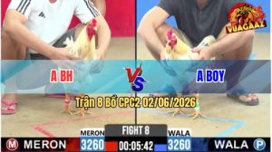 Trận 8 CPC2 02/06/2026 - 2 Bướm Đá Nhau, Bướm Anh Boy Nhỉnh Hơn Xíu