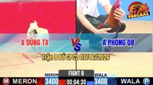 Trận 8 CPC2 07/06/2026 - Gà Bướm Anh Dũng Bươi Chà Như Cái Máy