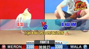 Trận 8 CPC2 09/06/2026 - Gà Bướm Anh Si Đá Đòn Cựa Quá Tịch