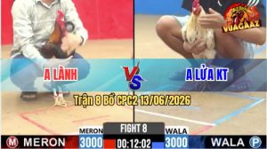 Trận 8 CPC2 13/06/2026 - Gà Điều Anh Lành Đá Đâm Như Sát Thủ