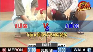 Trận 8 CPC2 15/06/2026 – Gà Anh Lũ Nạp Đúng 1 Cước, Xanh Về Nước