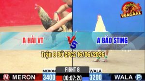 Trận 8 CPC2 16/06/2026 – Gà Bướm Idol Bảo Sting Đâm Thấy Nóng Lạnh