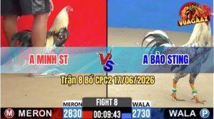 Trận 8 CPC2 17/06/2026 – Anh Minh Không Cho Anh Bảo Sting Cơ Hội Nào