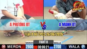 Trận 8 CPC2 26/06/2026 – Gà Anh Mạnh Nhỏ Nhưng Võ Công Cao