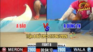 Trận 8 CPC2 27/06/2026 – Anh Bảo Hạ Anh Dũng TN Quá Dễ Dàng