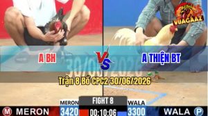 Trận 8 CPC2 30/06/2026 – Gà Úa Anh Thiện Canh Chặn Khôn Như Người