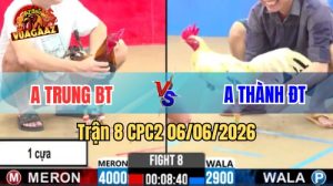 Trận 8 CPC2 Ngày 06/06/2026 Tại Vua Gà AZ