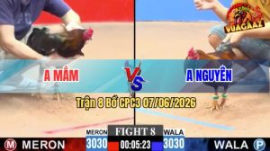Trận 8 CPC3 07/06/2026 - Gà Điều Anh Nguyên Đá Đòn Quá Thấm