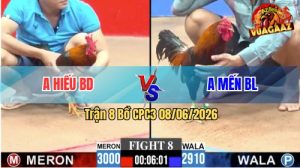 Trận 8 CPC3 08/06/2026 - Gà Điều Anh Mến Có Pha Giao Chân Cắt Mau Lẹ