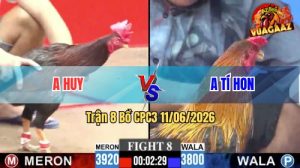 Trận 8 CPC3 11/06/2026 - Gà Anh Huy Đá Cựa Đâm Thấy Nóng Lạnh