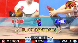 Trận 8 CPC3 15/06/2026 – Anh Cò Tây Ninh Đá Đối Thủ Xây Xẳm Mặt Mày