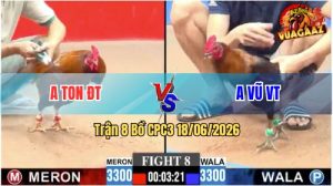 Trận 8 CPC3 18/06/2026 – Anh Vũ Vũng Tàu Bị Dí Bạc Ăn 6 Và Cái Kết