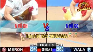 Trận 8 CPC3 20/06/2026 – Gà Điều Anh Vũ Đá Canh Nạp Đúng 3 Chân