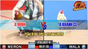 Trận 9 C3 23/06/2026 – Gà Anh Khanh CL Gồng Gánh Thắng Ngược