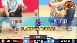 Trận 9 CPC2 07/06/2026 - Gà Anh Tuấn Toàn Canh Nạp Ngay Mu Lưng