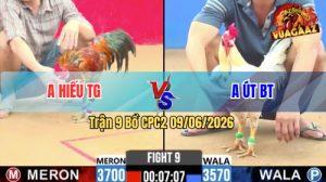 Trận 9 CPC2 09/06/2026 - Gà Anh Hiếu Dí Bạc Ăn 2, Xanh Hết Cứu