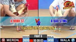 Trận 9 CPC2 10/06/2026 - Idol Bảo Sting Đá 2 Trận, Hoà Hết Cả 2