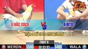 Trận 9 CPC2 25/06/2026 – Anh Hắc Coca Gặp Anh Bito, Bất Phân Thắng Bại