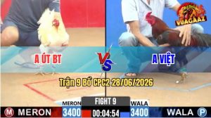 Trận 9 CPC2 28/06/2026 – Anh Út Bến Tre Có Pha Lật Kèo Quá Hay