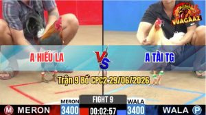 Trận 9 CPC2 29/06/2026 – Gà Bướm Anh Tài Có Chân Cựa Quyết Định